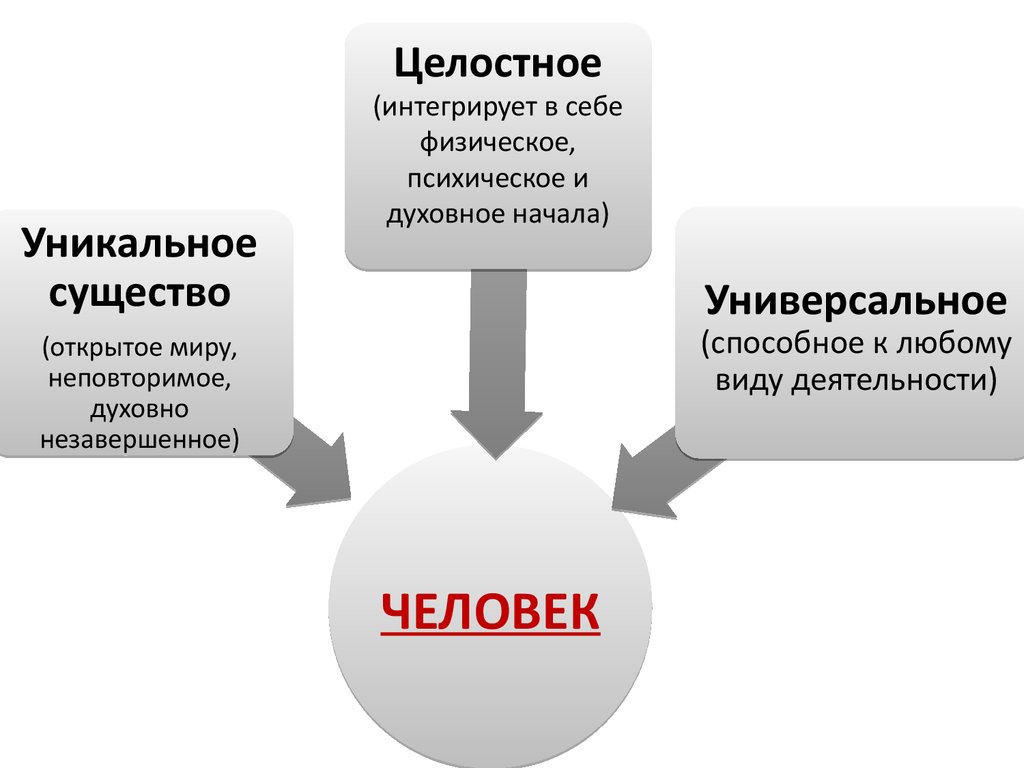 Сущность человека как проблема философии презентация 10 класс профиль