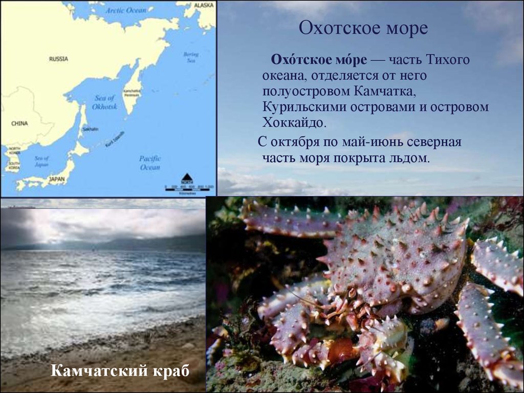 Охотское море средняя глубина