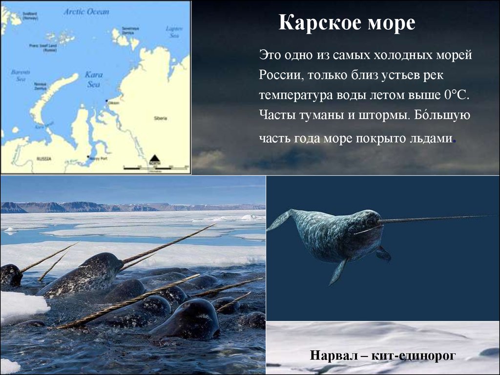 План описания моря карское море