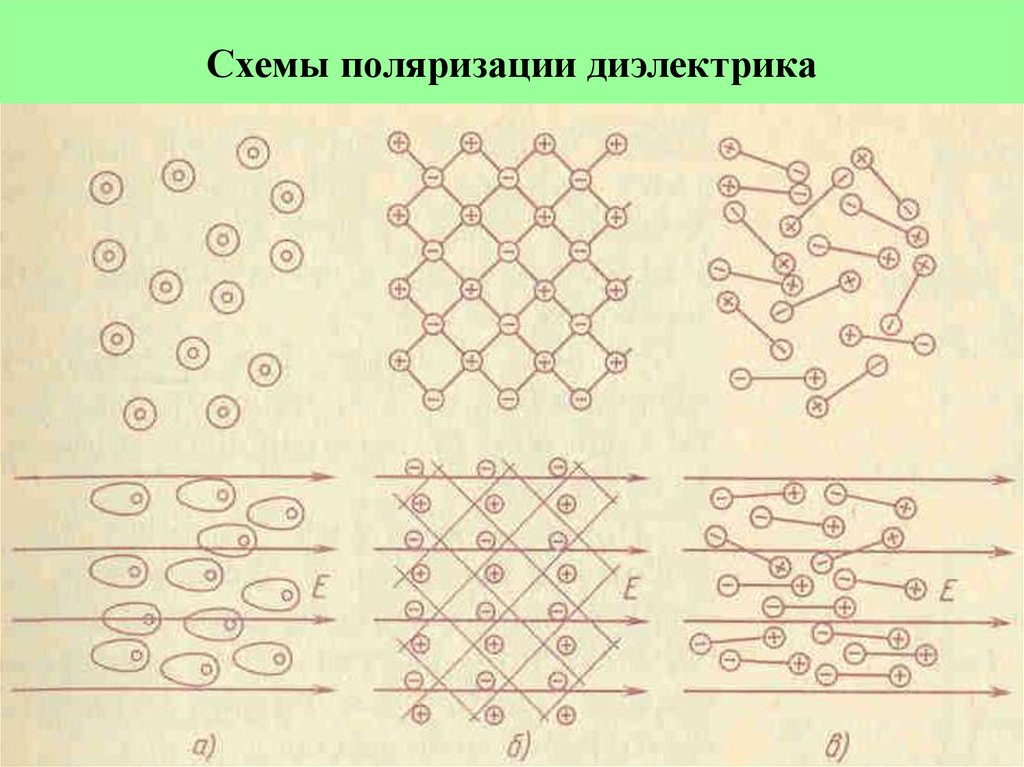 Поляризация рисунок