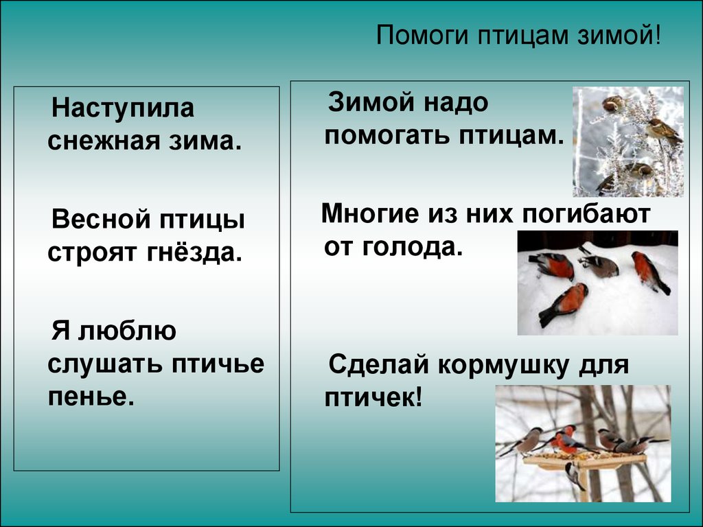 Птичий предложение. Помощь птицам зимой. Помощь зимующим птицам. Как помочь зимующим птицам. Помогайте птицам зимой.