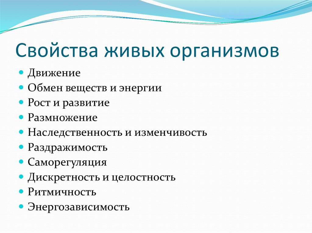 Какими свойствами обладает проект