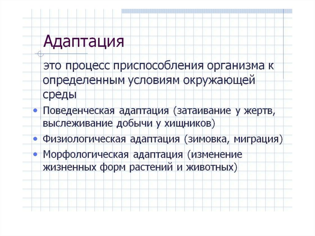 Адаптация оценка. Адаптация это в биологии. Адаптации организмов. Виды адаптации организмов. Типы адаптации биология.