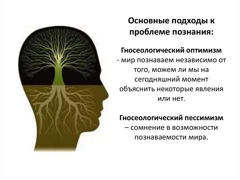 Смысл познания. Гносеологический оптимизм. Проблема знания в философии. Подходы к проблеме познания.