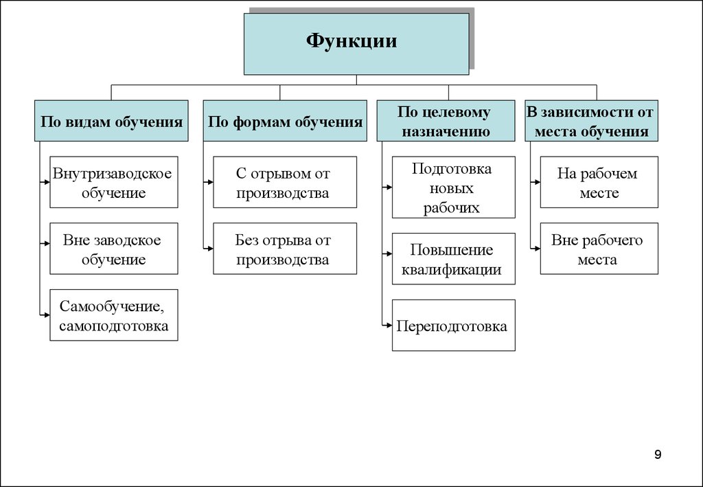 Функции стандартов организации. Функции разработчика стандарта на услугу.. Организационная система м видео.