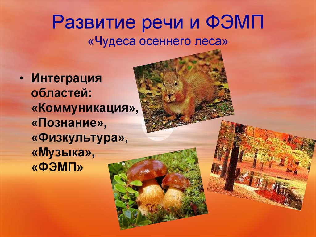 Развитие речи и ФЭМП «Чудеса осеннего леса»