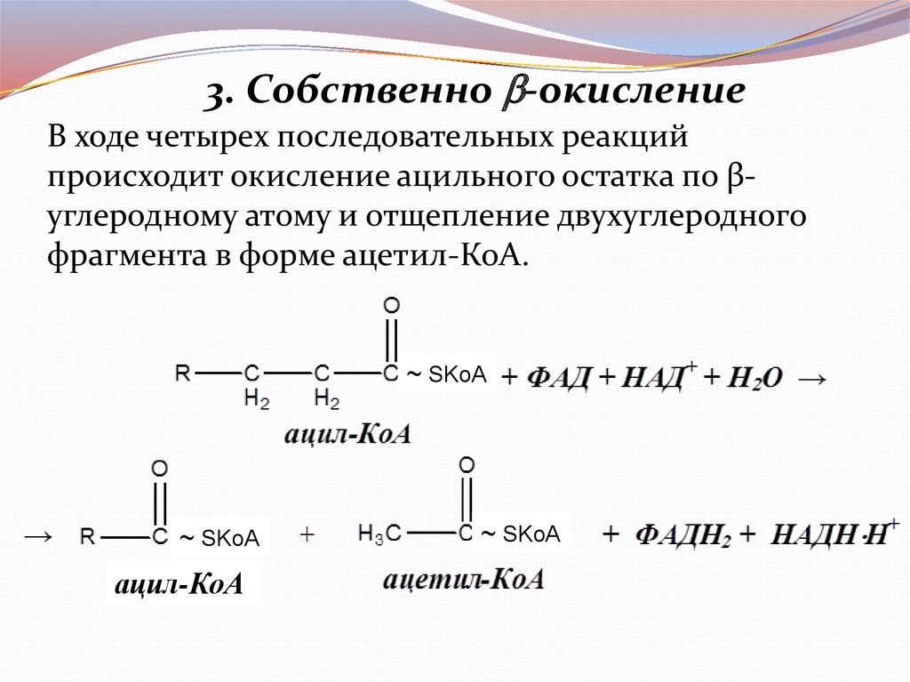 Реакция окисления происходит при. Окисление ацетил КОА до со2. Окисление ацетил КОА локализовано. Окисление через ацетил КОА. Реакция окисления ацильных остатков.