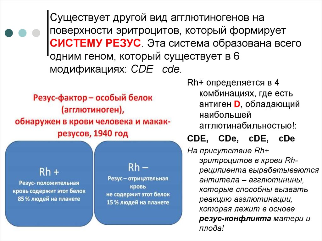 Антигенов резус rh. Резус фактор и дополнительные агглютиногены. В системе резус фактор в плазме крови. Основные агглютиногены системы резус-антирезус. Система резус rh-rh.