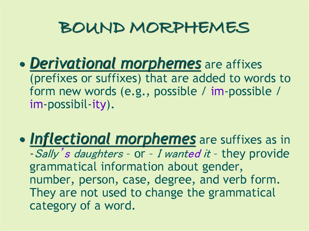 English Morphology Prezentaciya Onlajn