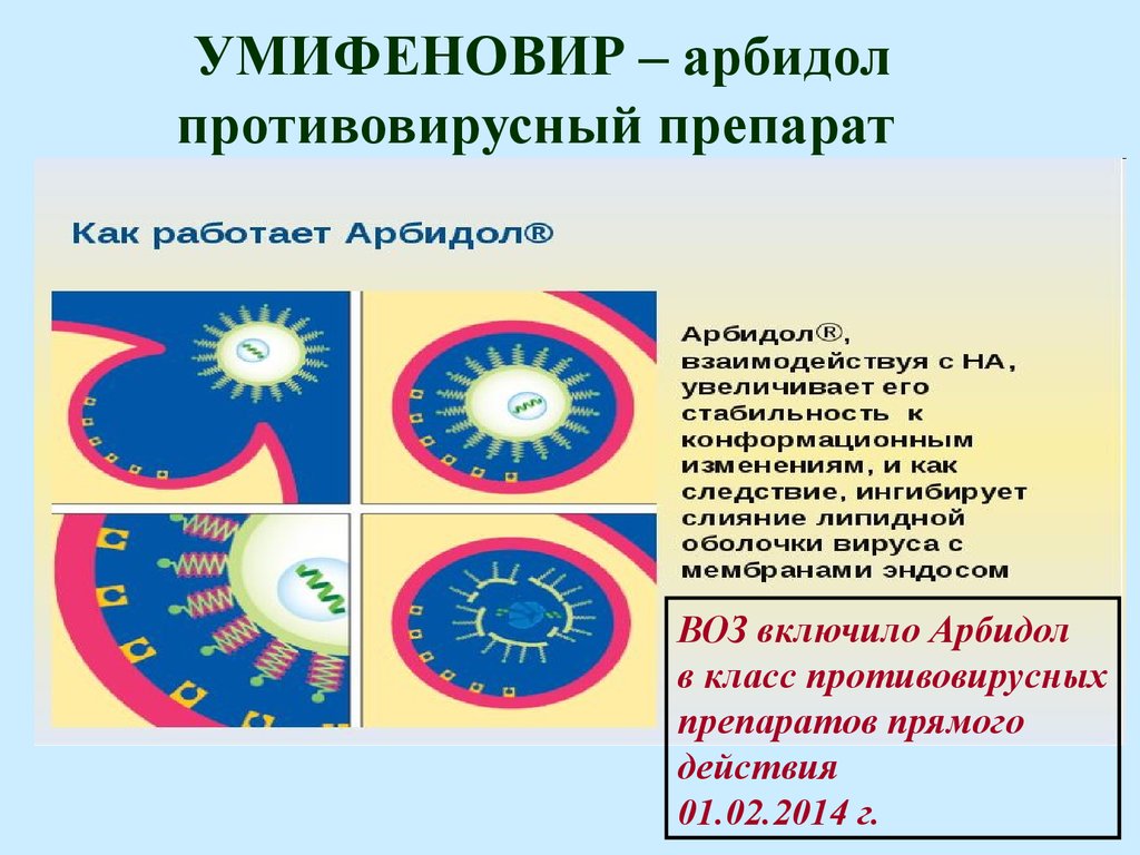 Противовирусные умифеновир. Умифеновир. Арбидол умифеновир.