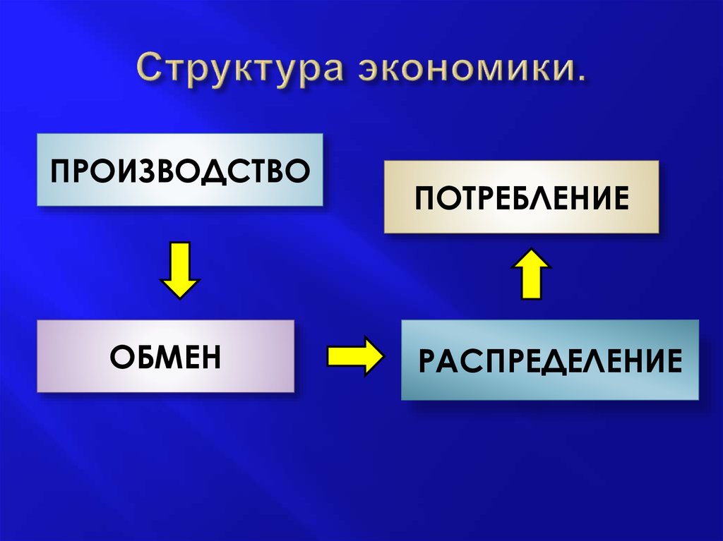 Экономической структурой экономики. Структура экономики. Что такое экономика. Структура экономики.. Экономическая структура. Структура экономики схема.