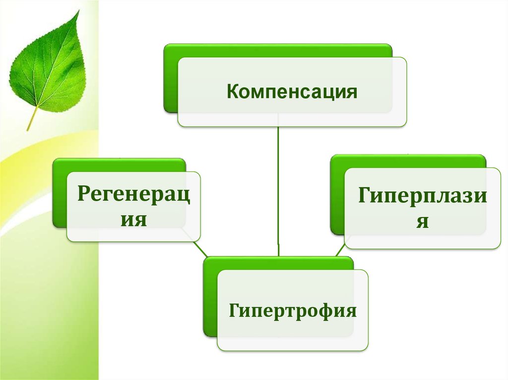 Компенсаторно приспособительные реакции схема