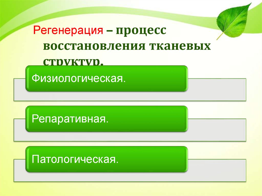 Определите вид компенсаторно приспособительных реакций подпишите картинки