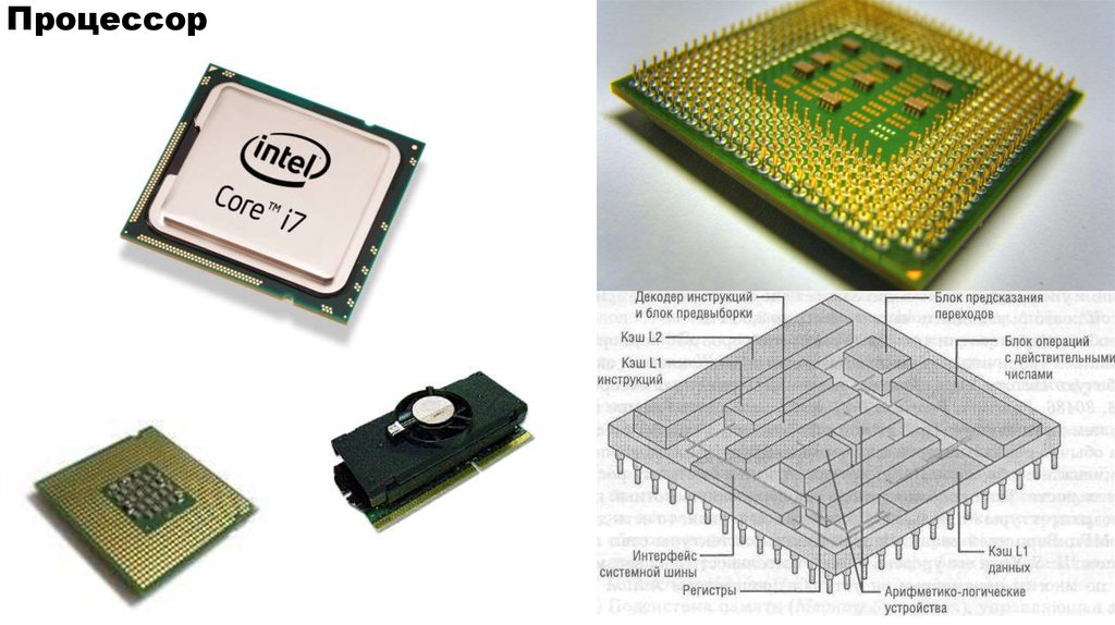 Функциональные процессоры. Устройство процессора. Алу процессора. Блок процессора. Схема процессора компьютера.