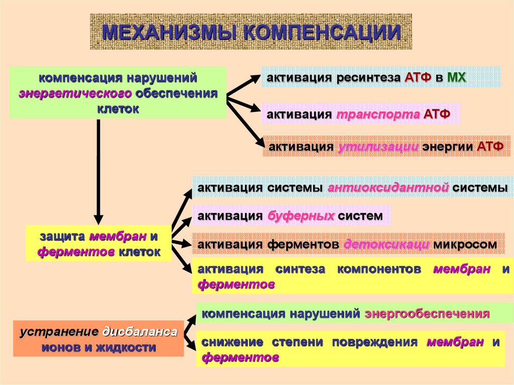 Механизм основан. Механизм формирования компенсаций. Механизмы компенсации. Механизм компенсации в проблемной ситуации. Приспособительные и компенсаторные процессы организма.