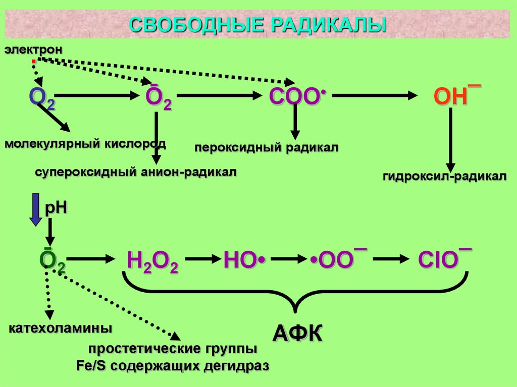 Получение свободный. Образование свободных радикалов. Механизм образования свободных радикалов. Реакции образования свободных радикалов. Окисление свободные радикалы.