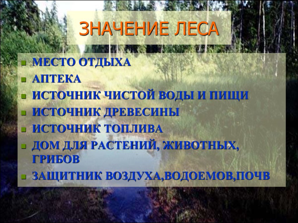 Плешаков лес и человек. Лес и человек презентация. Человек и лес презентация 4 класс. Лес и человек окружающий мир. Презентация по окружающему миру 4 класс лес и человек.