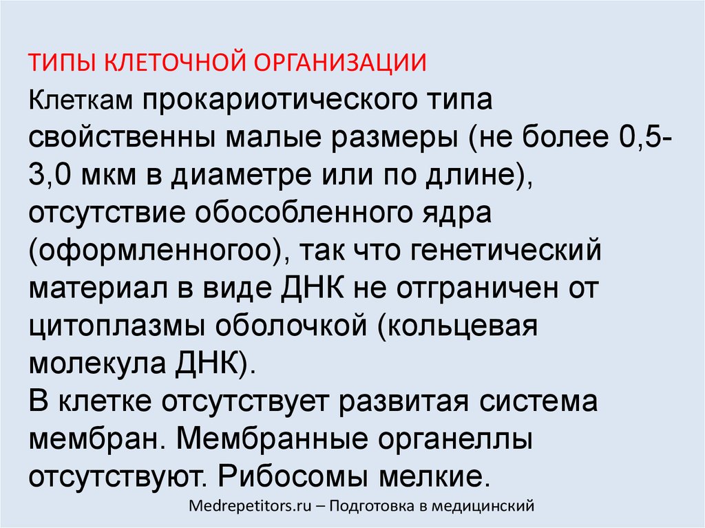 Типы клеточной организации