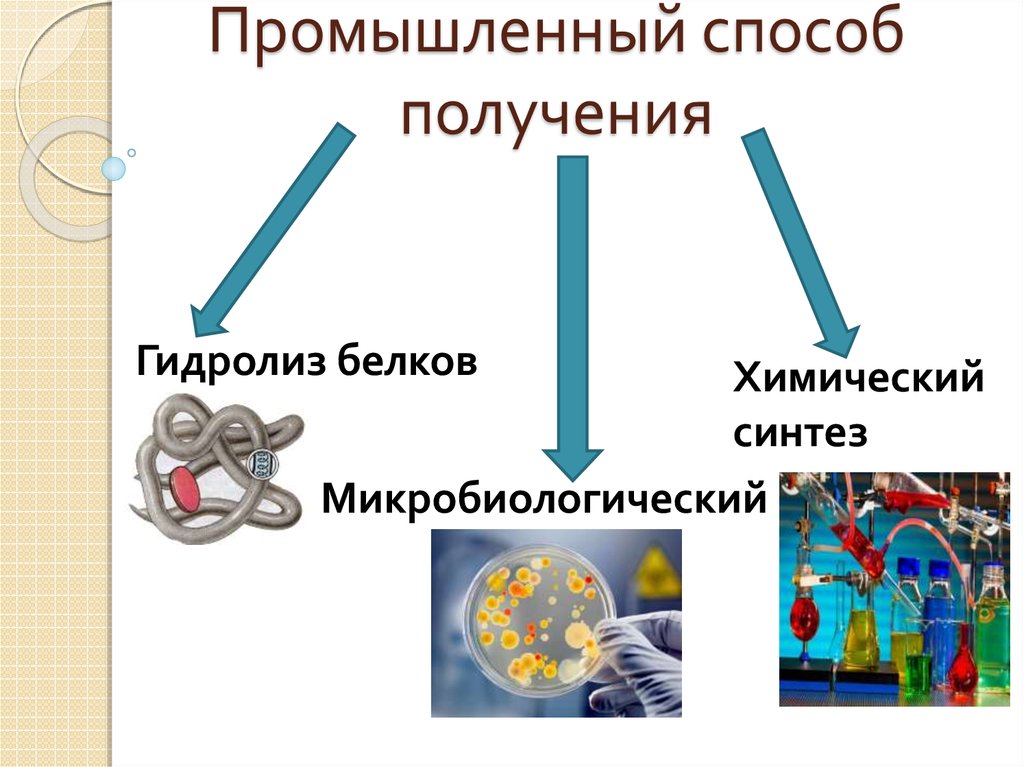 Получение белков. Способы получения белков. Способы получения белков химия. Способ получения белка. Белки получение химия.