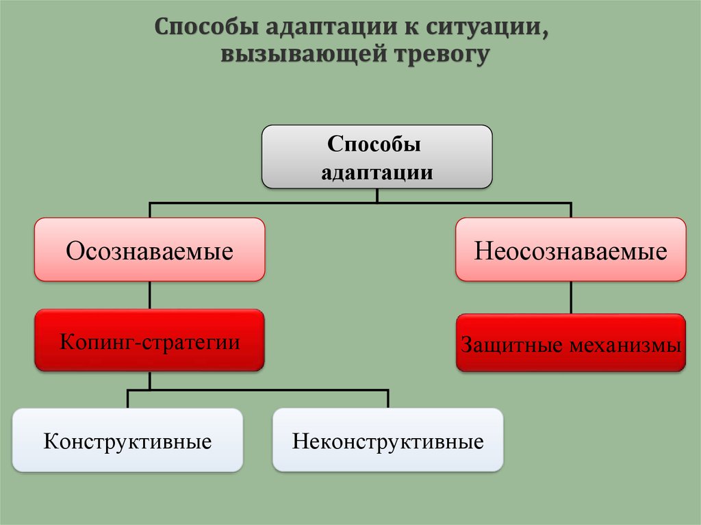 Методы адаптации