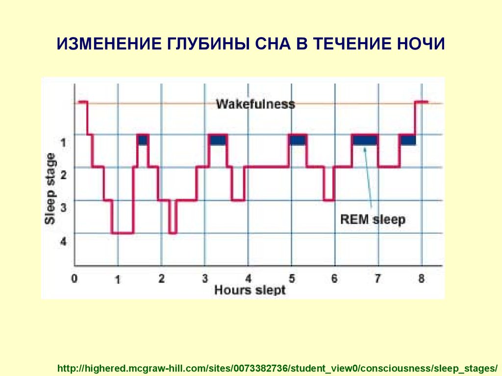 Глубина измениться. Изменение глубины. Нарушение глубины сна. Глубина сна. В течении ночи.