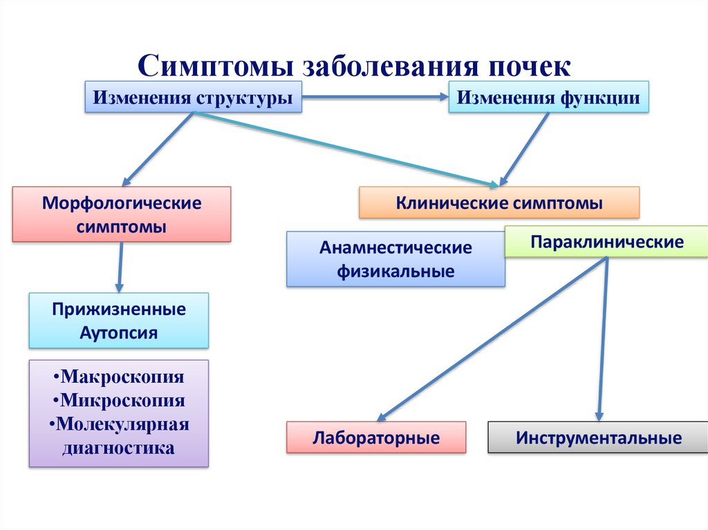 Воспаление почки симптомы признаки