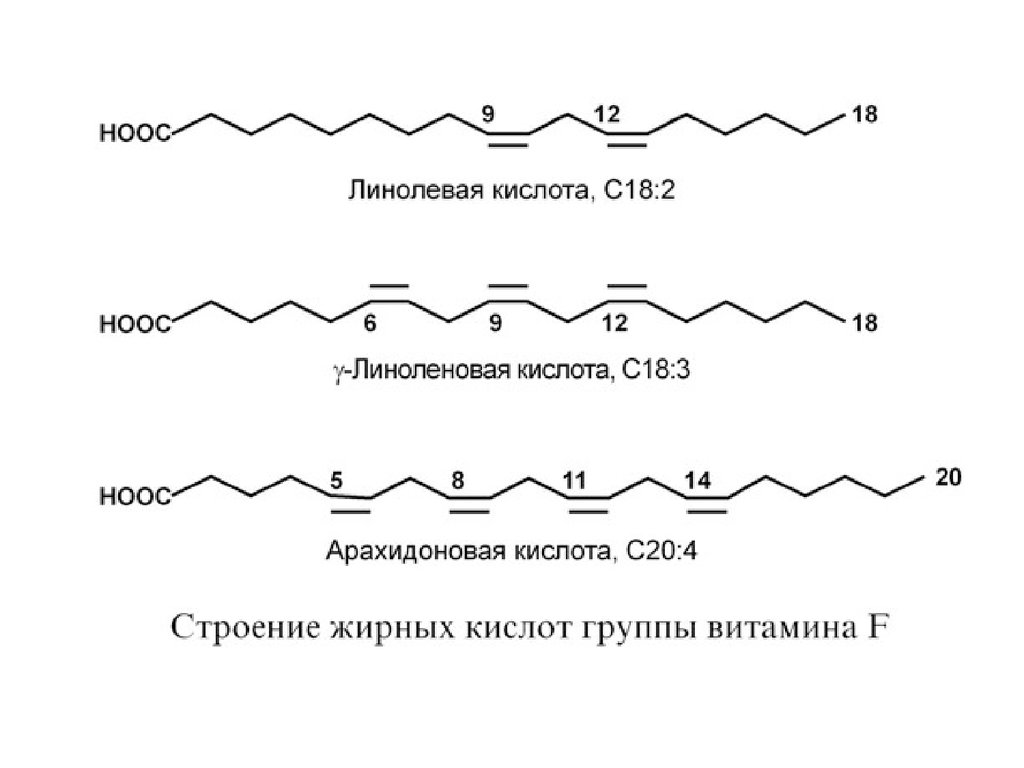 Линоленовая кислота свойства. Полиненасыщенные жирные кислоты строение. Линолевая линоленовая и арахидоновая кислоты. Формула линолевой линоленовой арахидоновой кислоты. Линолевая и линоленовая кислоты формулы.