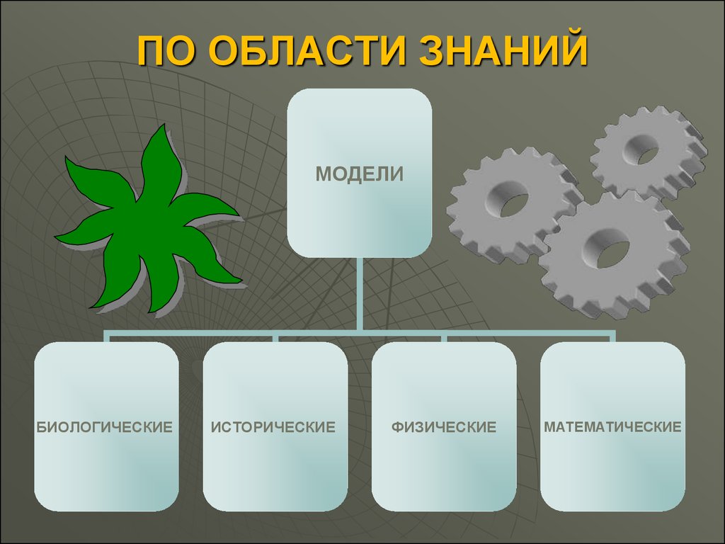 Область знаний в школе. Области знаний. Уникальная область знаний. Биологические модели. Область знаний примеры.