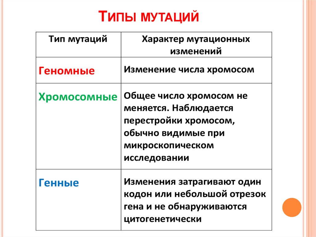 Типы мутаций рисунки