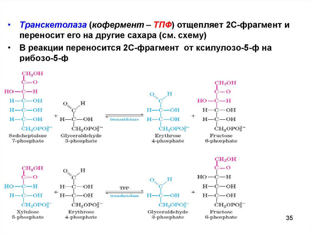 Первый искусственный синтез углеводов схема реакции