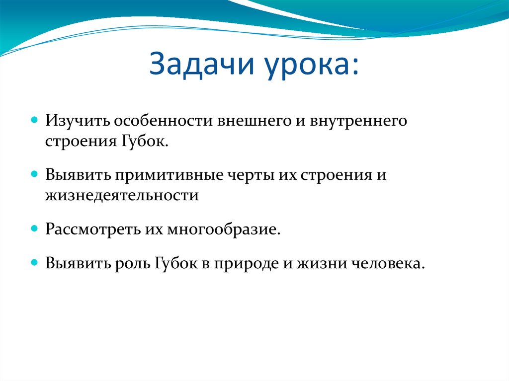 Примитивные черты это. Роль губок в природе и жизни человека. Задания Тип губки. Черты примитивной организации губок. Какова роль губок в природе и в жизни человека.