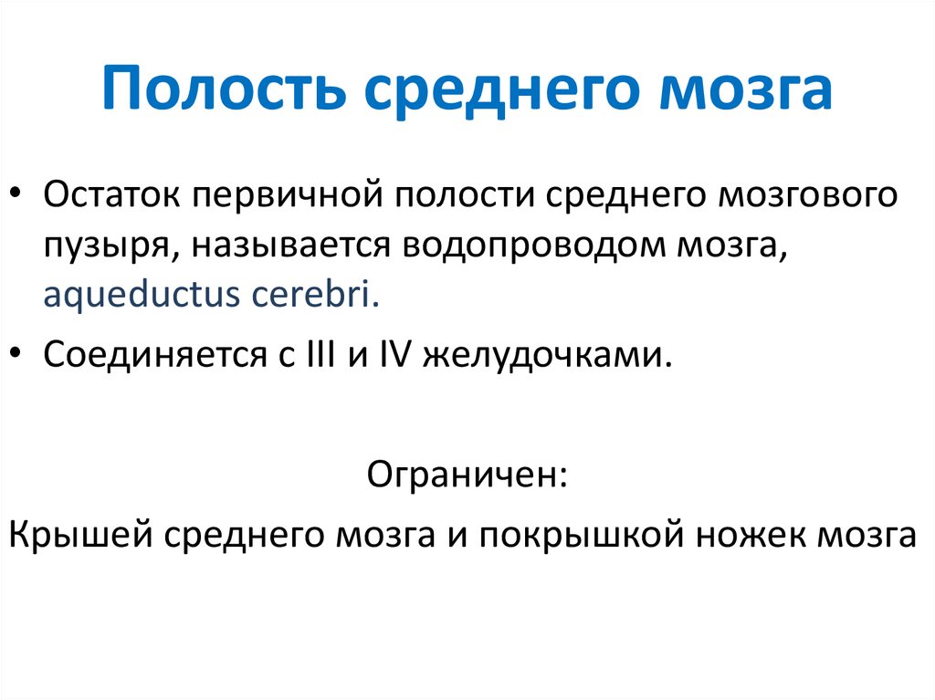 Полости мозга. Назовите полость среднего мозга.. Полостью среднего мозга является. Остаточная полость среднего мозга. Водопровод среднего мозга является полостью.