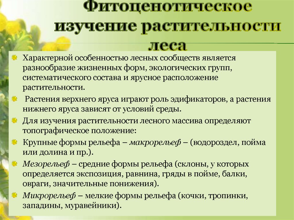 Особенности организации растения. Эколого-ценотические группы растений. Фитоценотические группы растений. Фитоценотическое исследование. Фитоценотическая классификация жизненных форм растений.