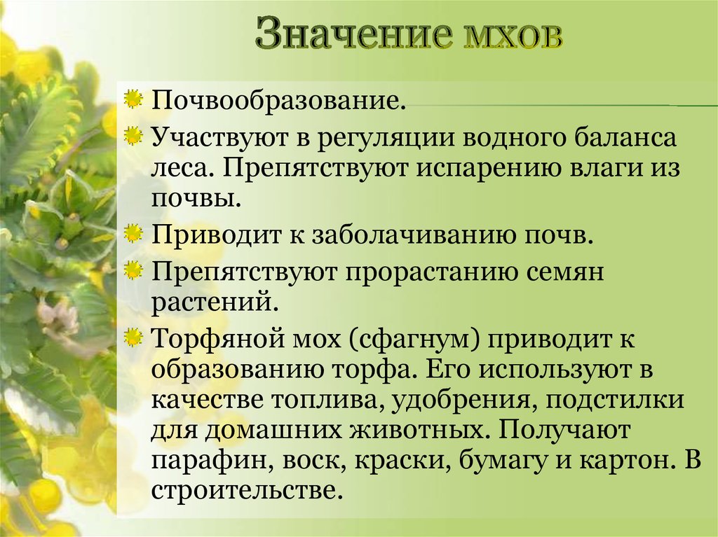 Какое значение мхов в жизни человека. Биологическая роль мхов. Роль моховидных в природе. Значение мхов. Роль мхов в природе.