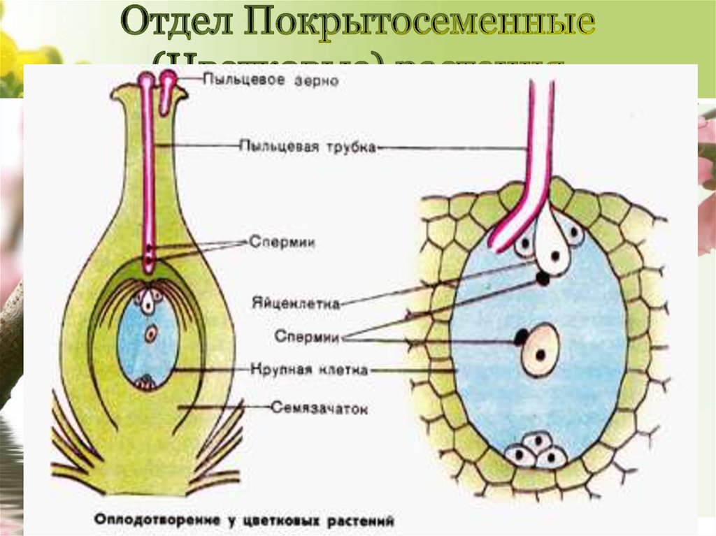 view Neonatal Hematology 2005