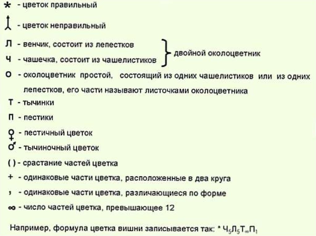 Установите соответствие между частями цветка. Условные обозначения формулы цветков. Формула цветка обозначения. Формула цветка таблица обозначения. Формула цветка растений расшифровка.