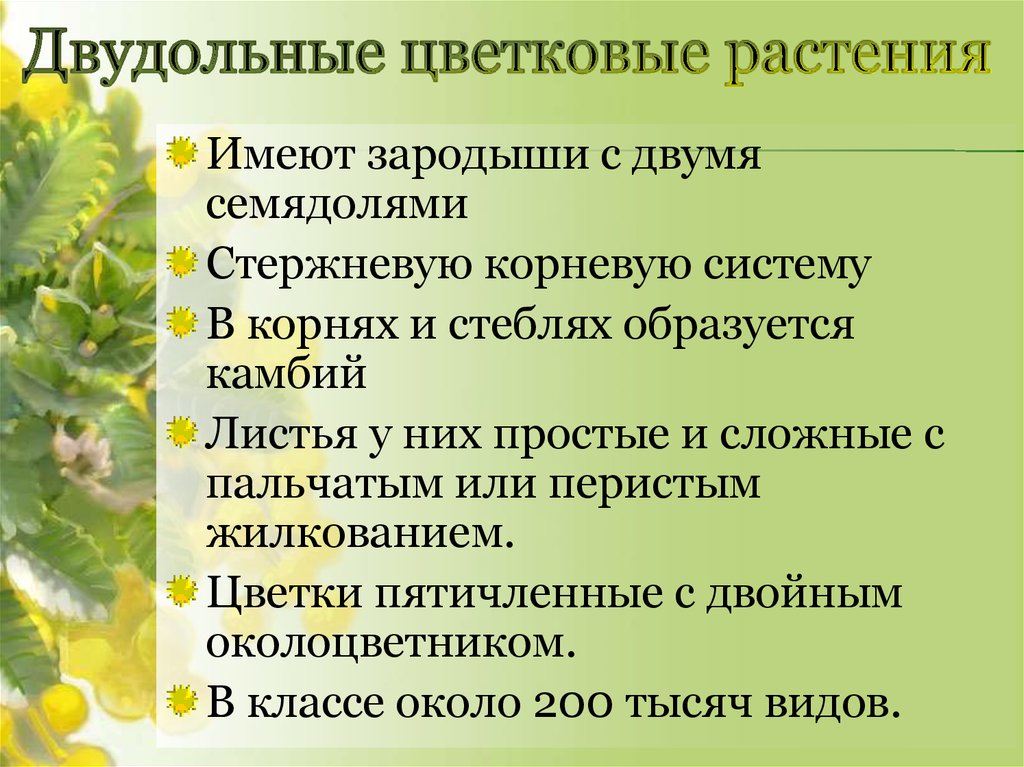 Схема значение покрытосеменных растений. Значение покрытосеменных растений. Роль цветковых растений в природе. Роль покрытосеменных растений в природе. Значение покрытосеменных растений в природе.