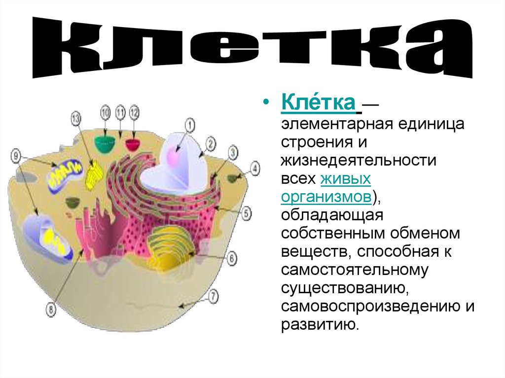 Обзор теле