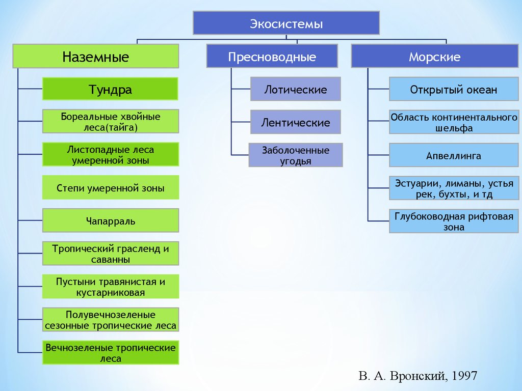 Природные экосистемы 11 класс