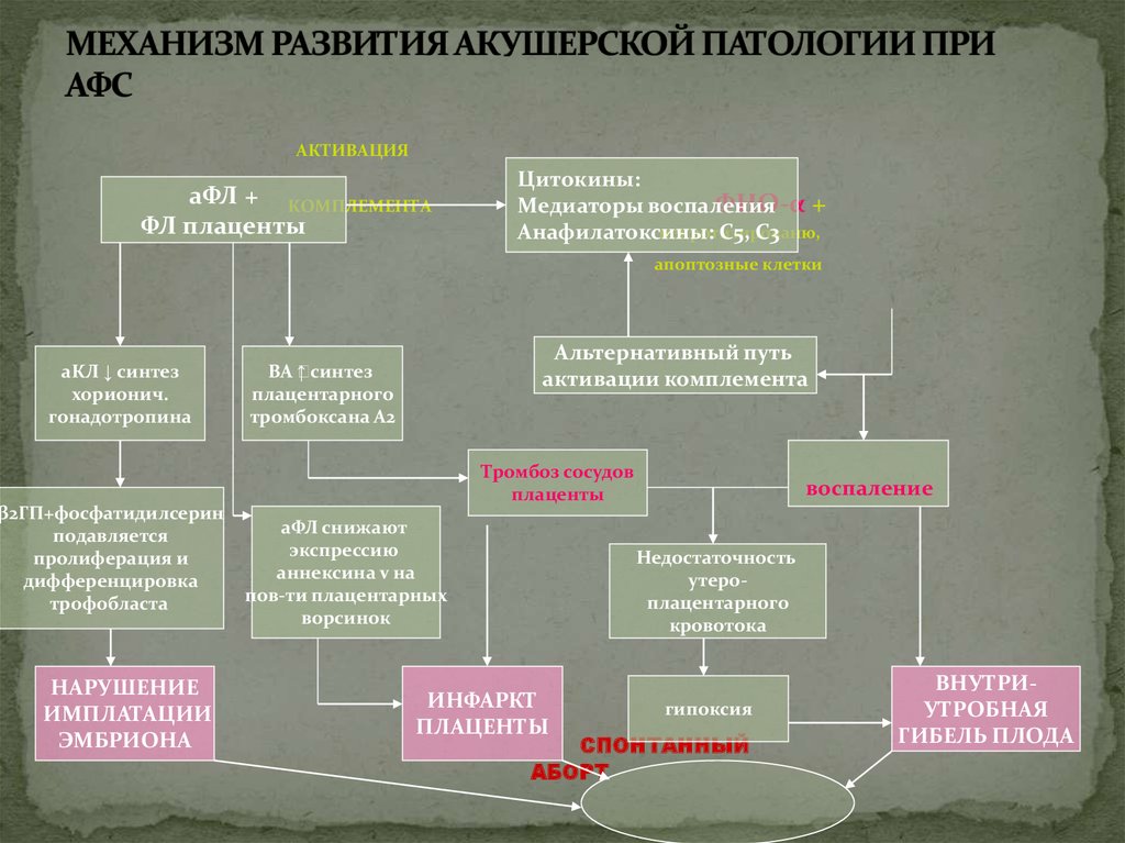 Патанатомия в схемах и таблицах благодаров