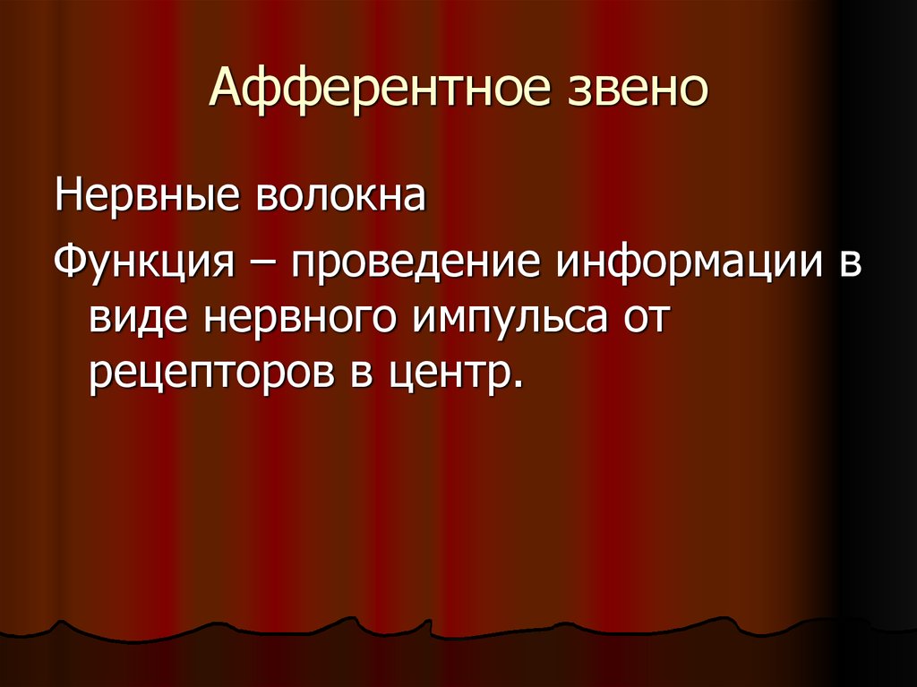 Функция проведения. Афферентное звено. Афферентное звено функции. Афферентные и эфферентные звенья двигательной системы. Аффереторное звено функция.