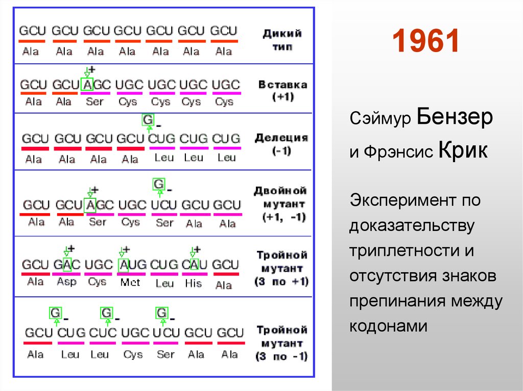 Культура и традиции как генетический код нации презентация