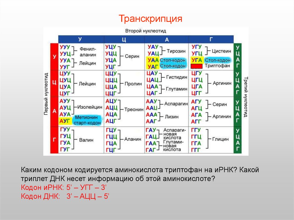 2 генетический код его свойства