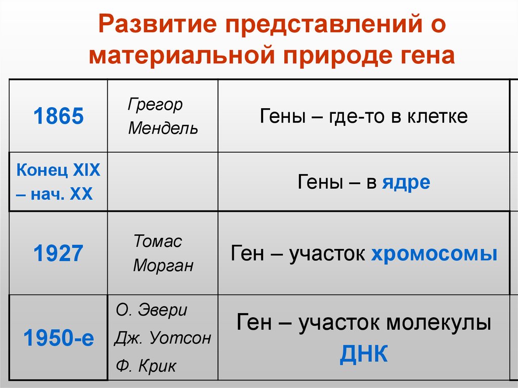 Современное представление о гене схема