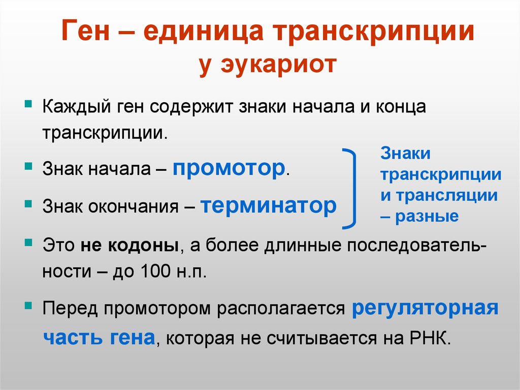 Ген это. Единица транскрипции у эукариот. Транскрипция у эукариот. Транскрипция генов эукариот. Ген единица транскрипции.