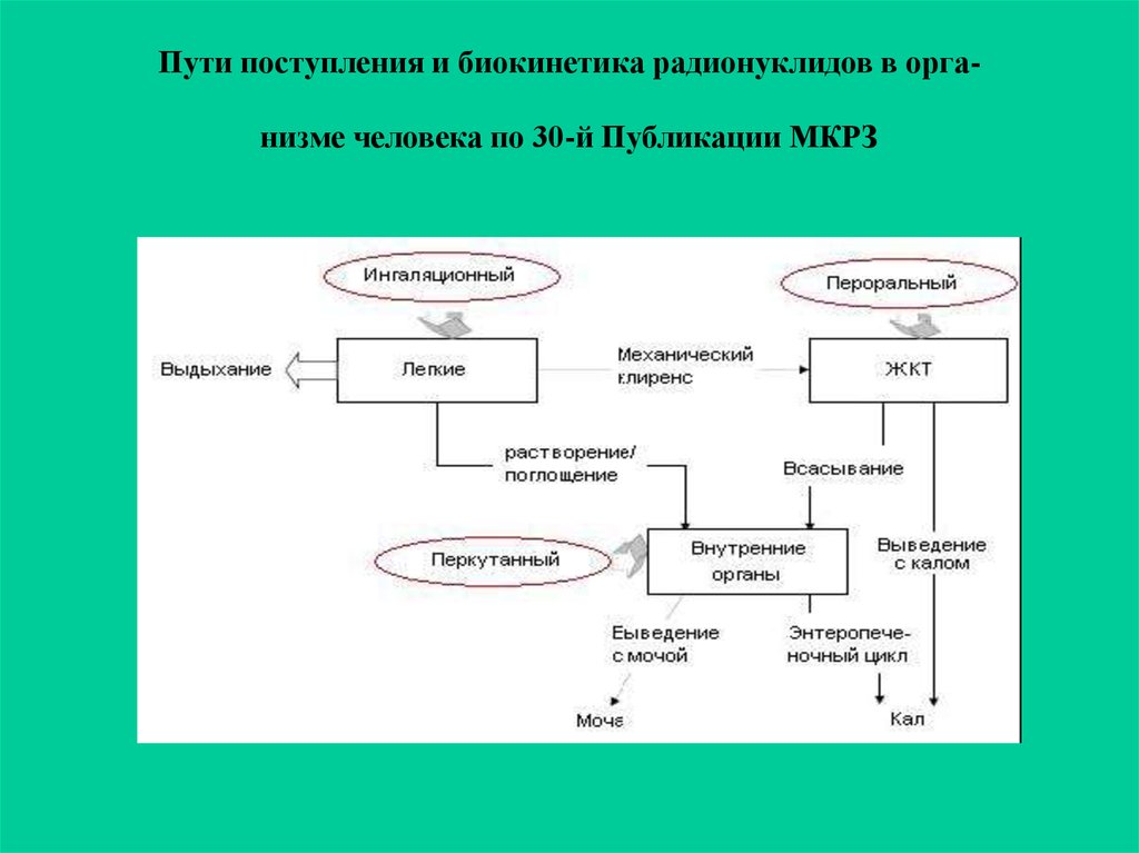 Пути прихода