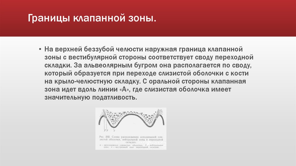 Методы фиксации и стабилизации съемных протезов при полном отсутствии зубов презентация