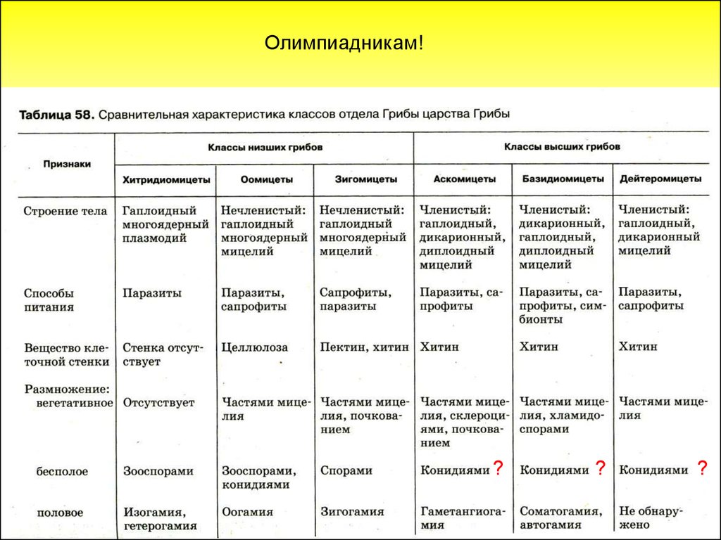 Презентация по биологии общая характеристика грибов 7 класс