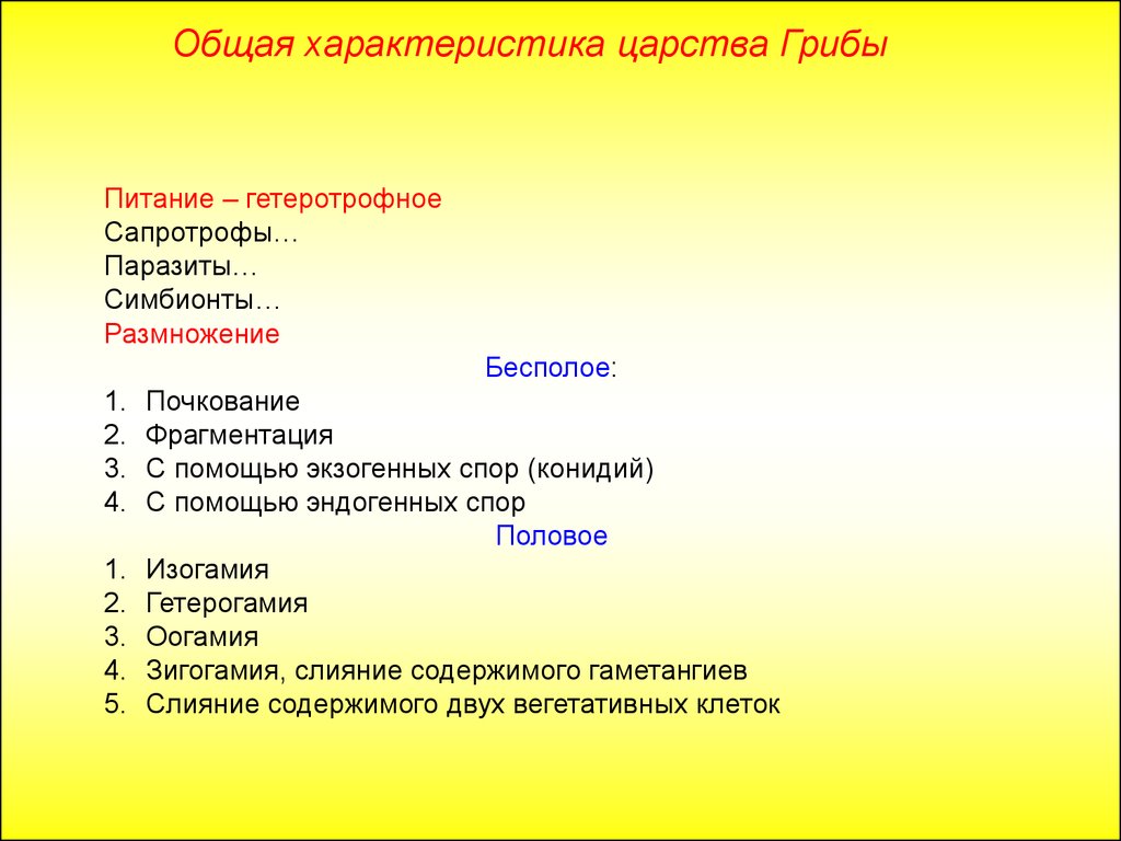 Презентация общая характеристика царства грибы