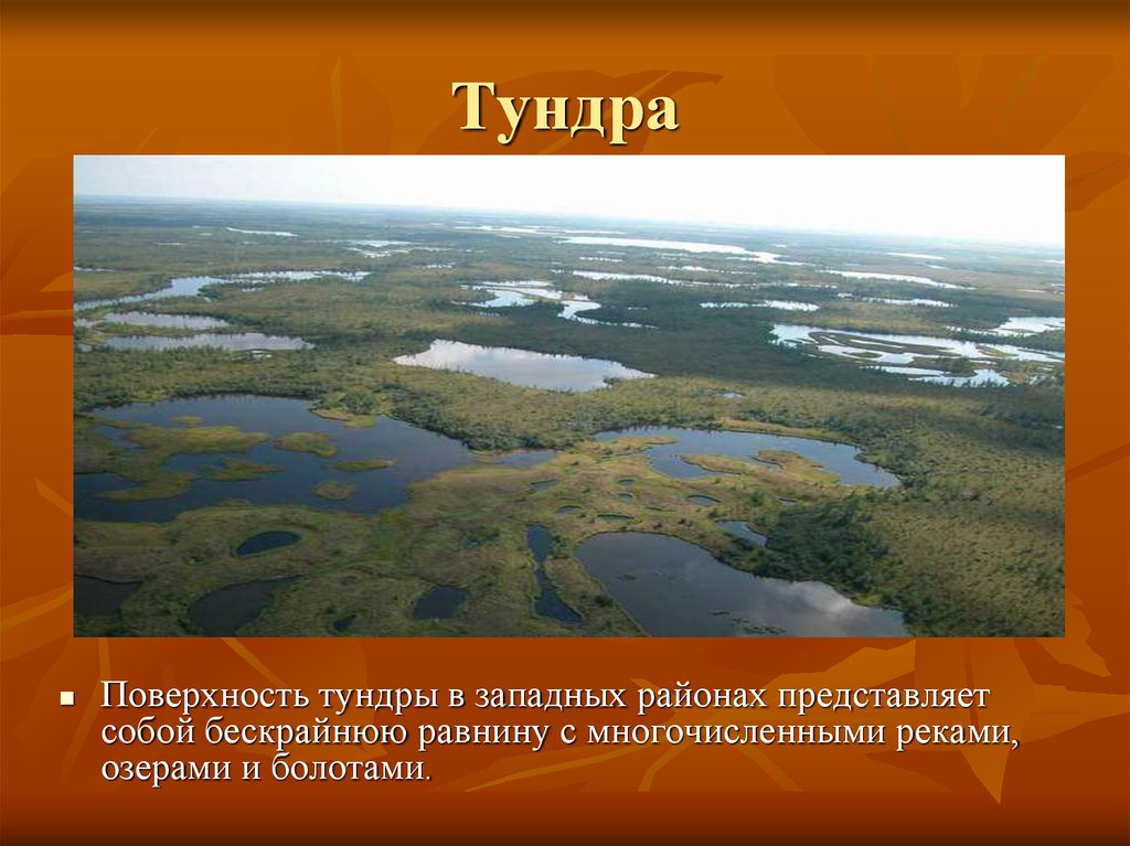 Тундра это природная зона. Природные зоны Евразии тундра. Зона тундры в Евразии. Природные зоны Евразии презентация. Тундра Восточно европейской равнины.